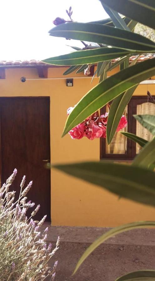 Mamaku Huasi Otel Cafayate Dış mekan fotoğraf