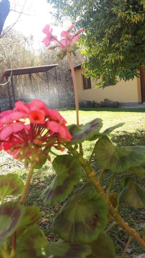 Mamaku Huasi Otel Cafayate Dış mekan fotoğraf