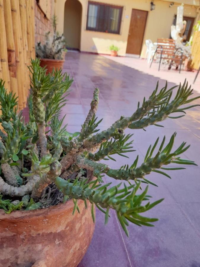 Mamaku Huasi Otel Cafayate Dış mekan fotoğraf